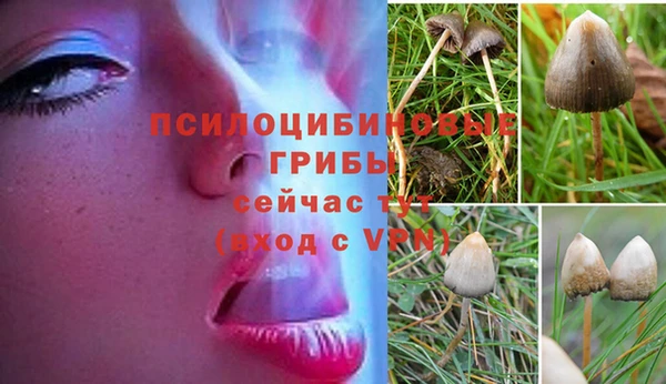 кокаин перу Верхний Тагил